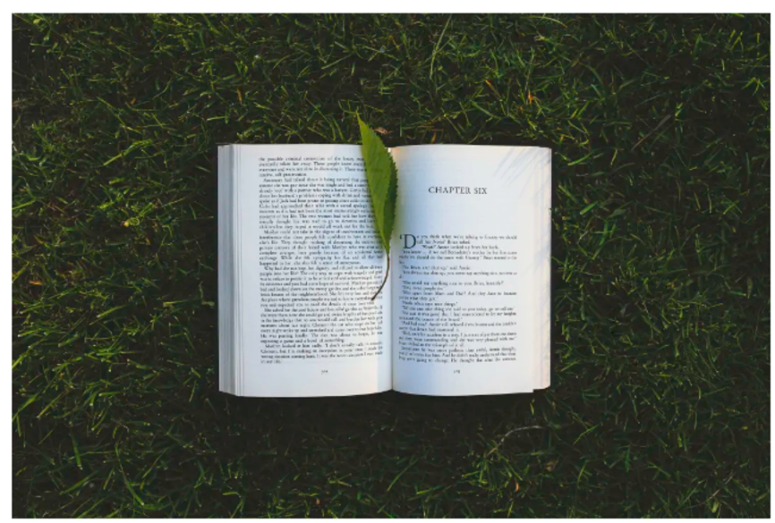 圖片關(guān)鍵詞